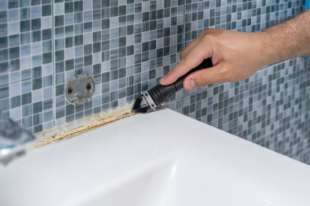 Best Residential Mold Removal  in Ettrick, VA
