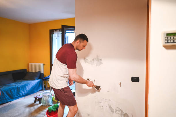 Mold Testing and Removal in Ettrick, VA